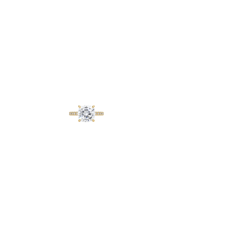 Ring on Hand