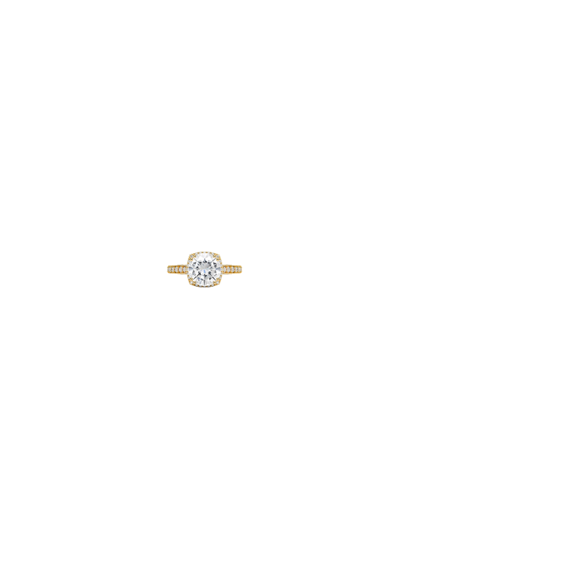 Ring on Hand