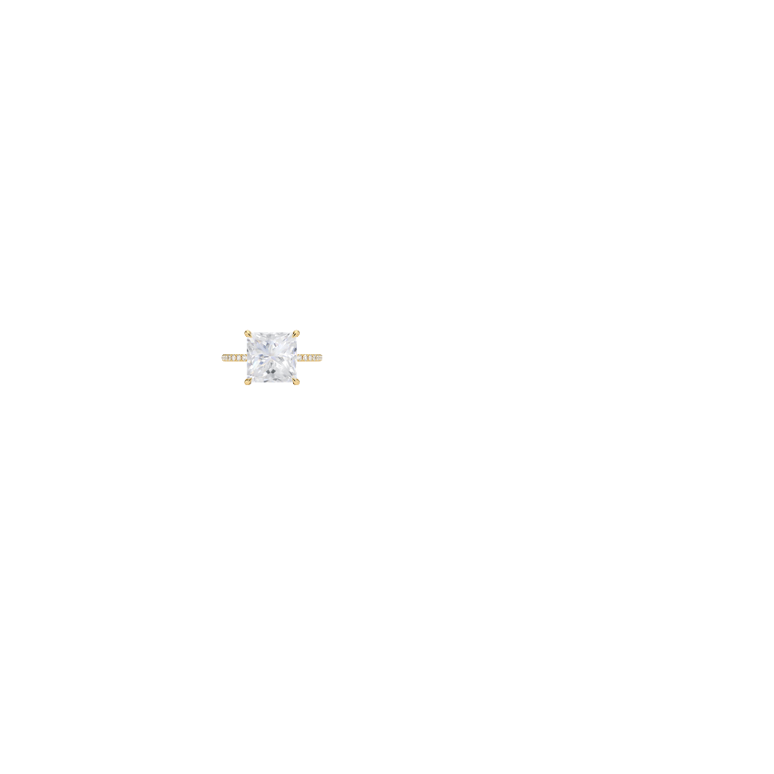 Ring on Hand