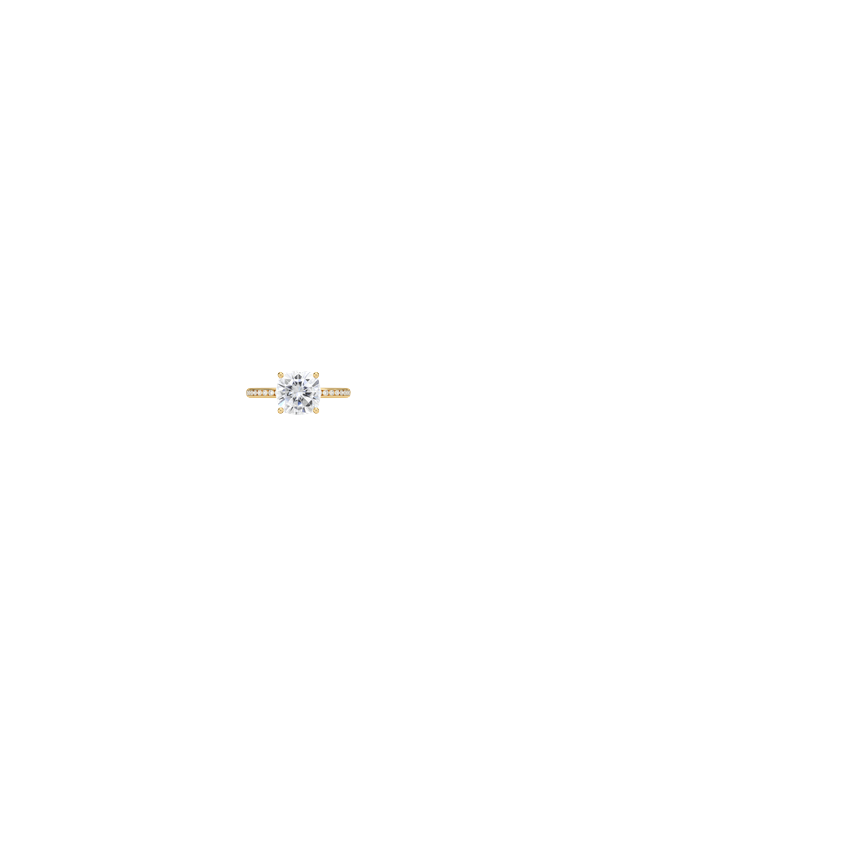 Ring on Hand