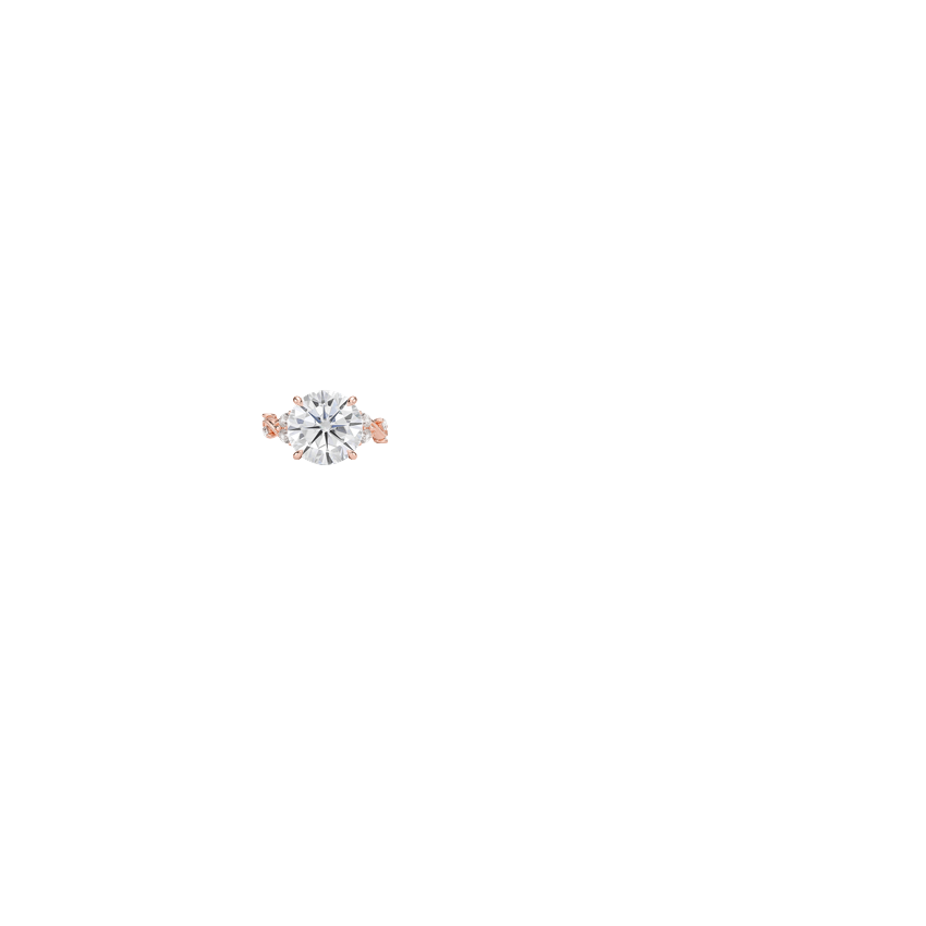 Ring on Hand