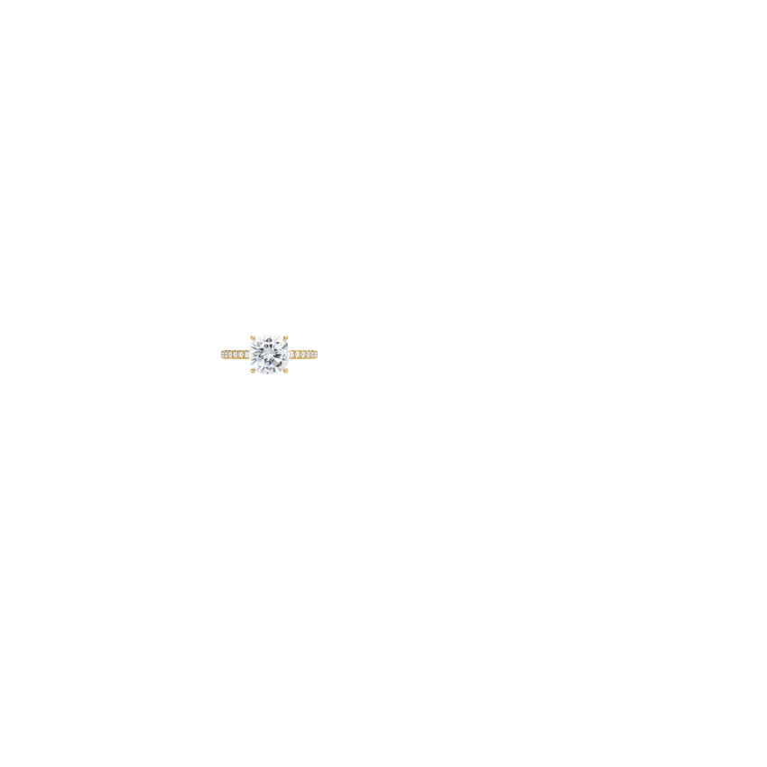 Ring on Hand