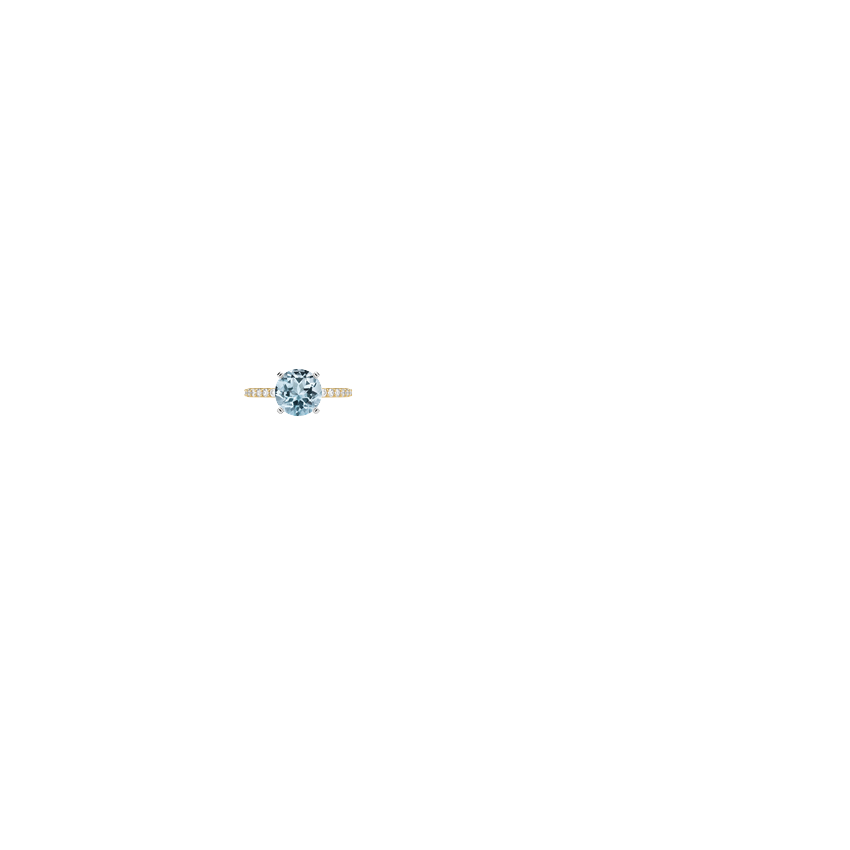 Ring on Hand