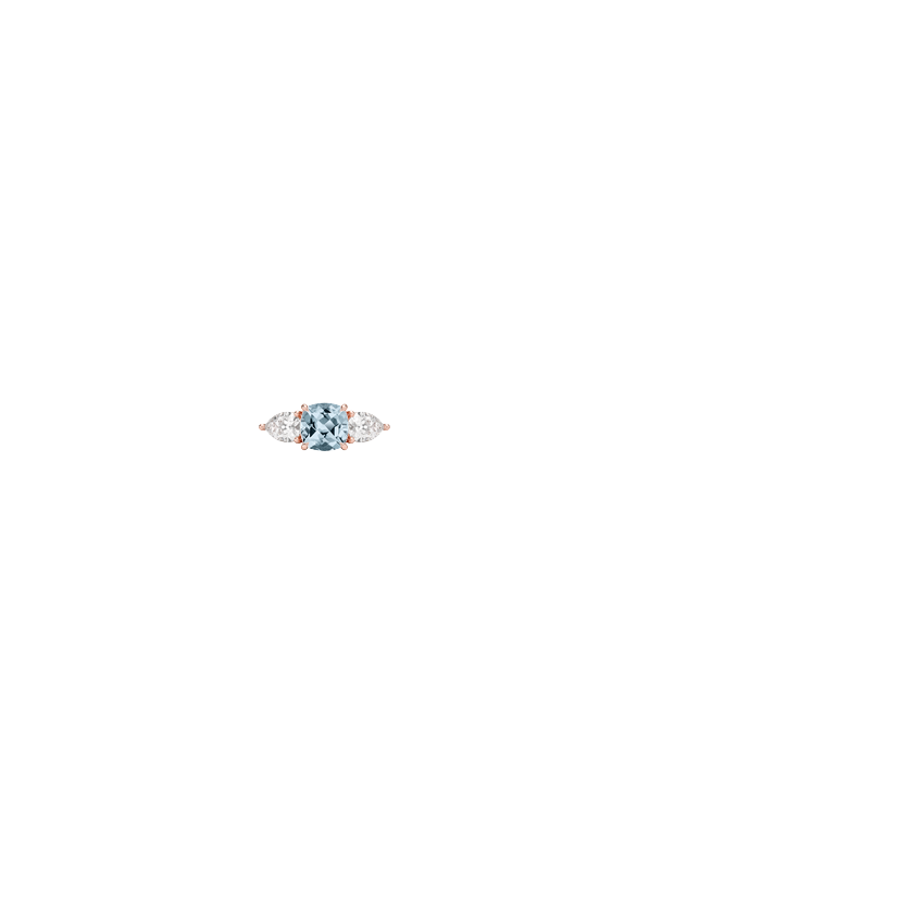 Ring on Hand