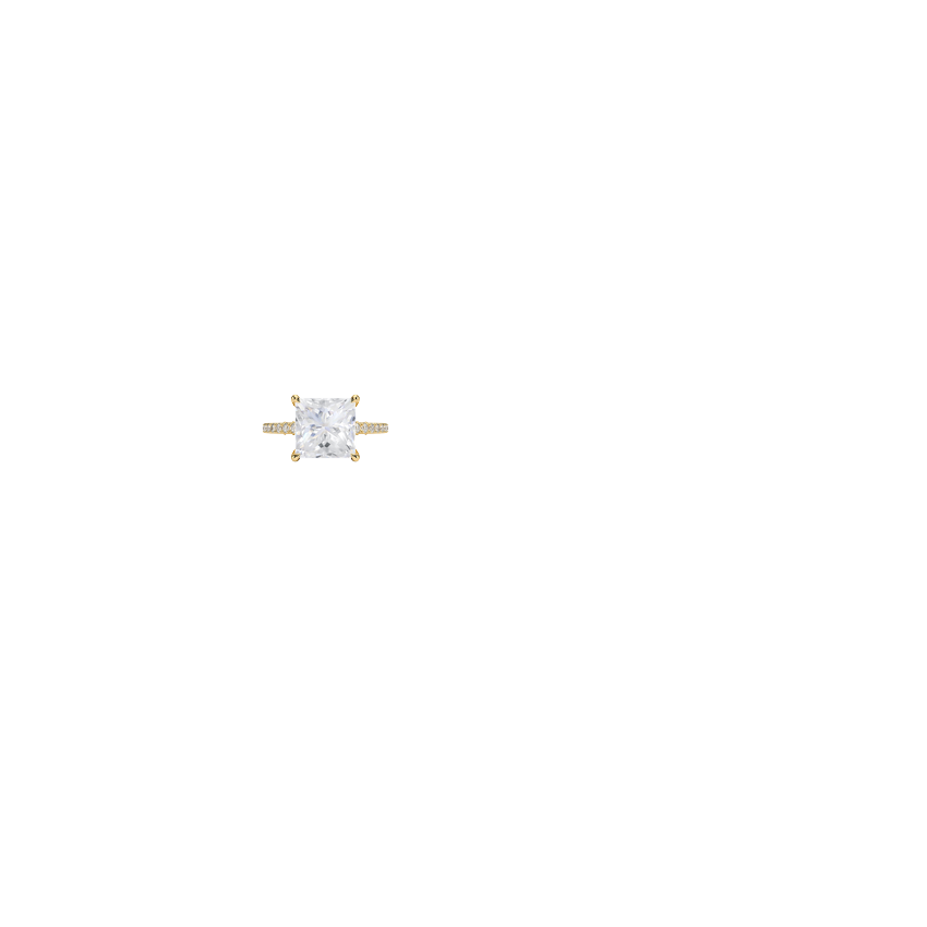 Ring on Hand