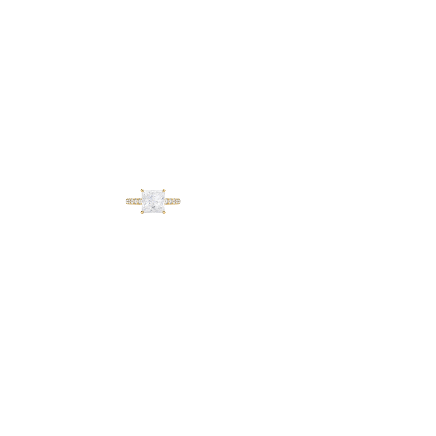 Ring on Hand
