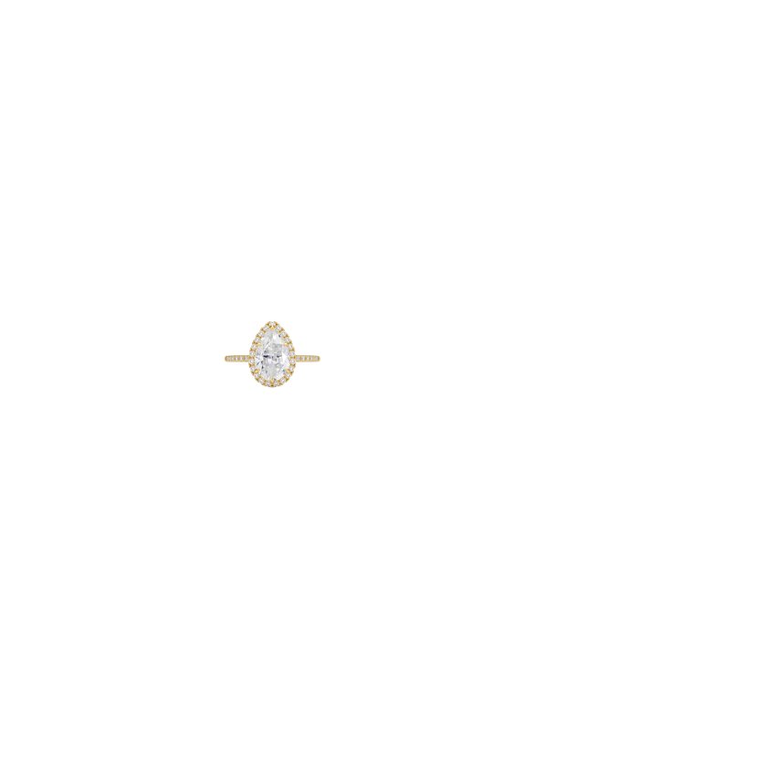 Ring on Hand