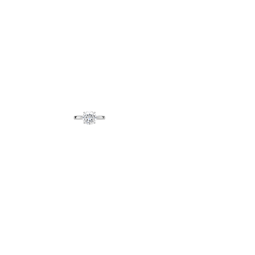 Ring on Hand