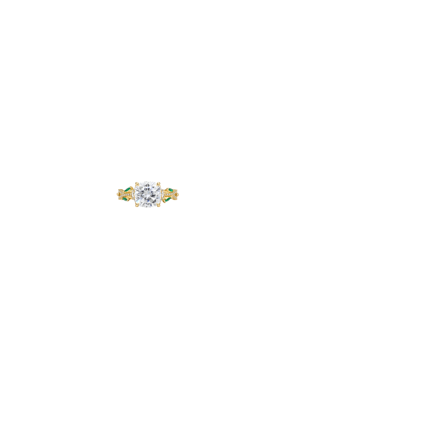 Ring on Hand