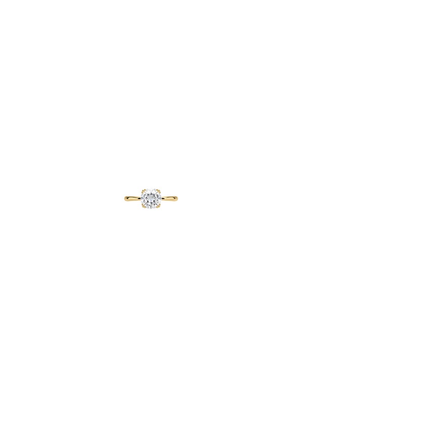 Ring on Hand