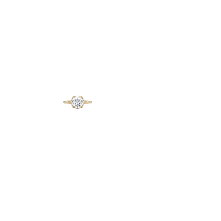 Ring on Hand