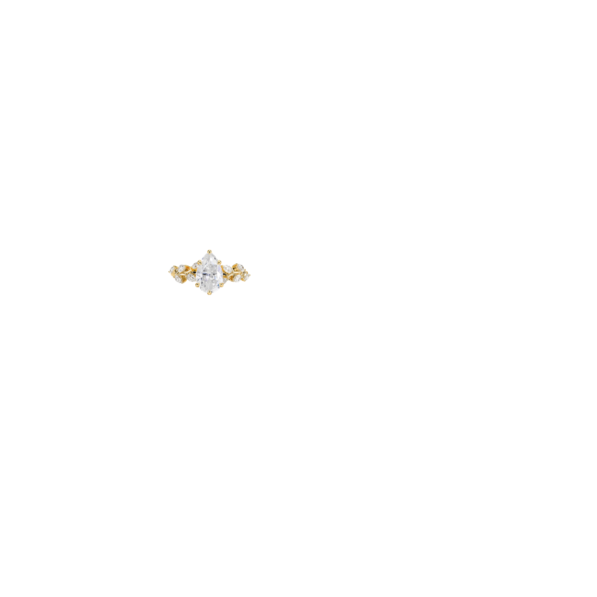 Ring on Hand