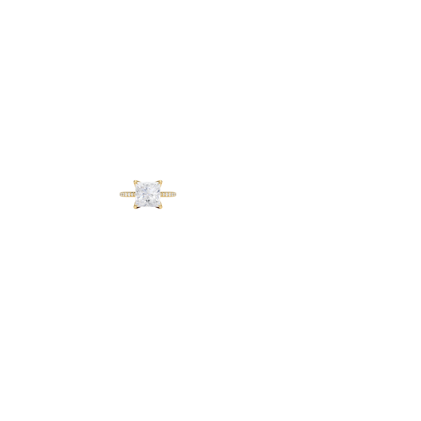 Ring on Hand