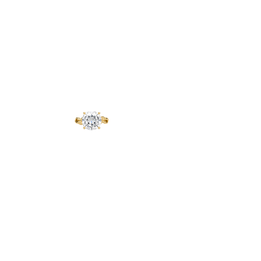 Ring on Hand