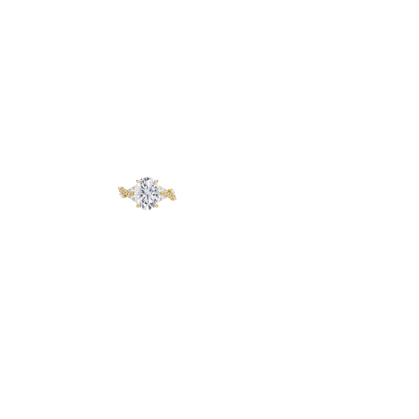 Ring on Hand