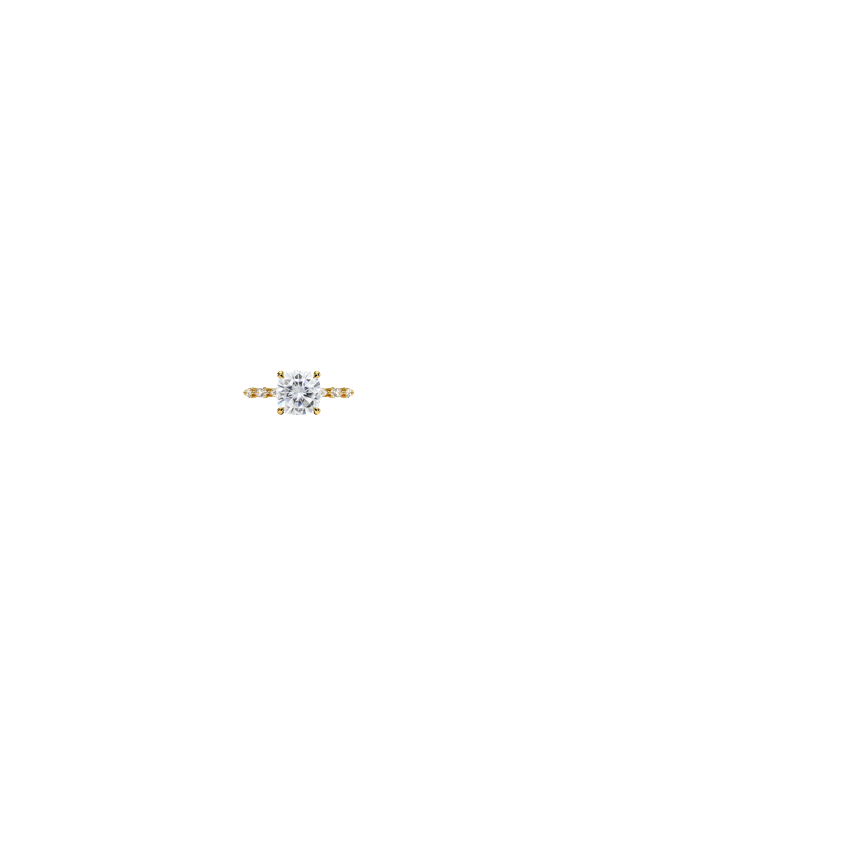Ring on Hand