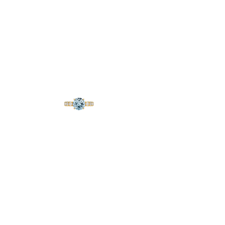 Ring on Hand