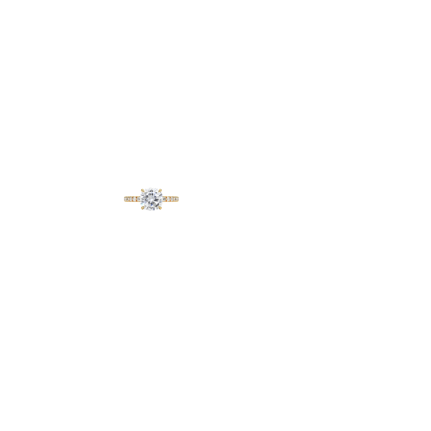 Ring on Hand