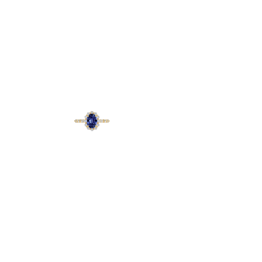 Ring on Hand