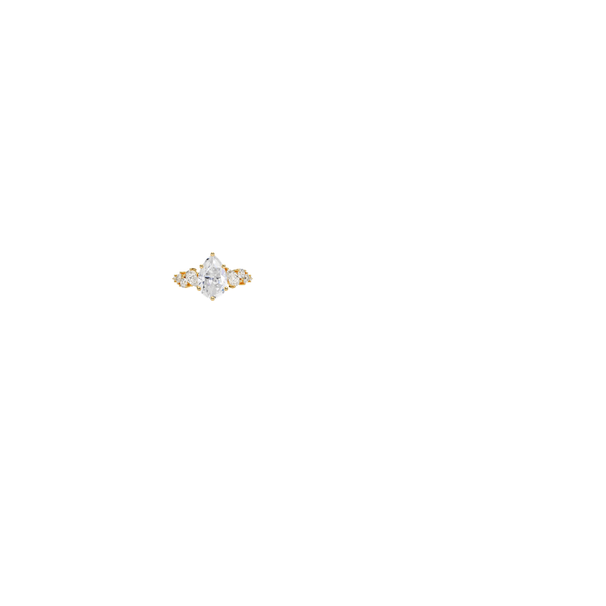 Ring on Hand
