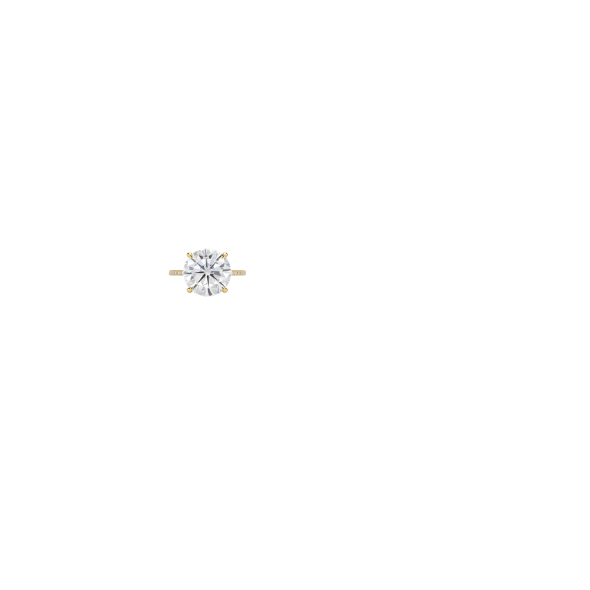 Ring on Hand