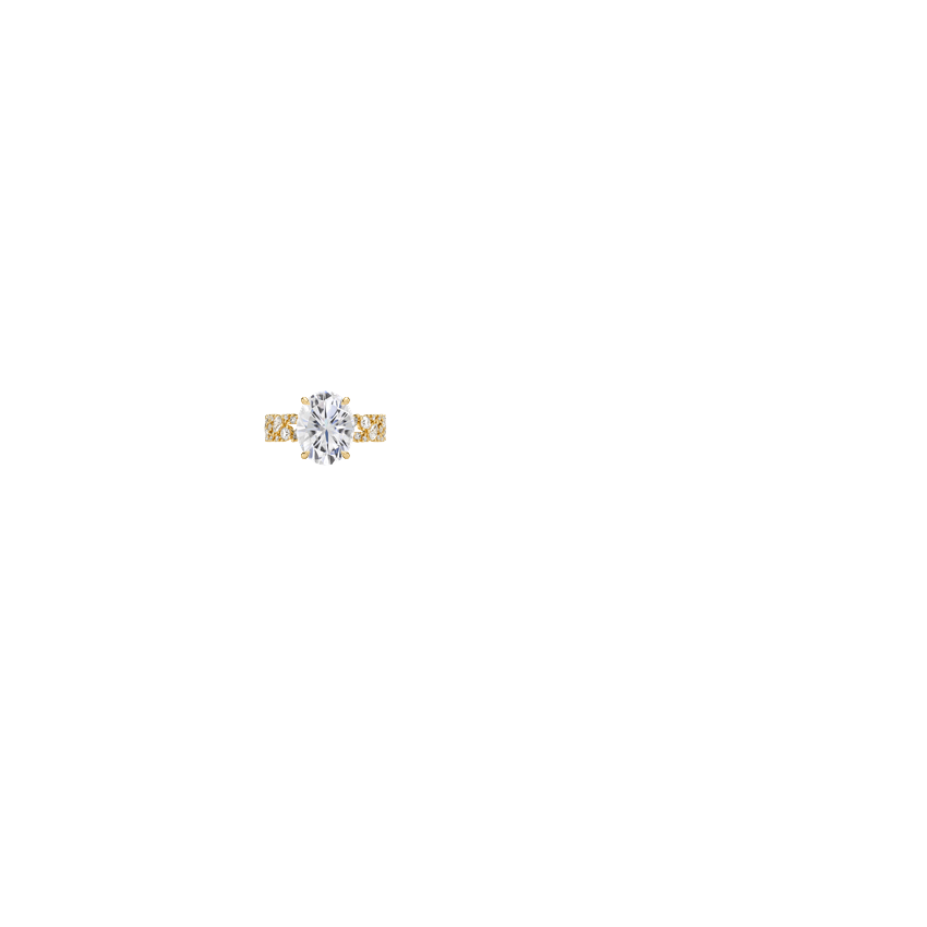 Ring on Hand