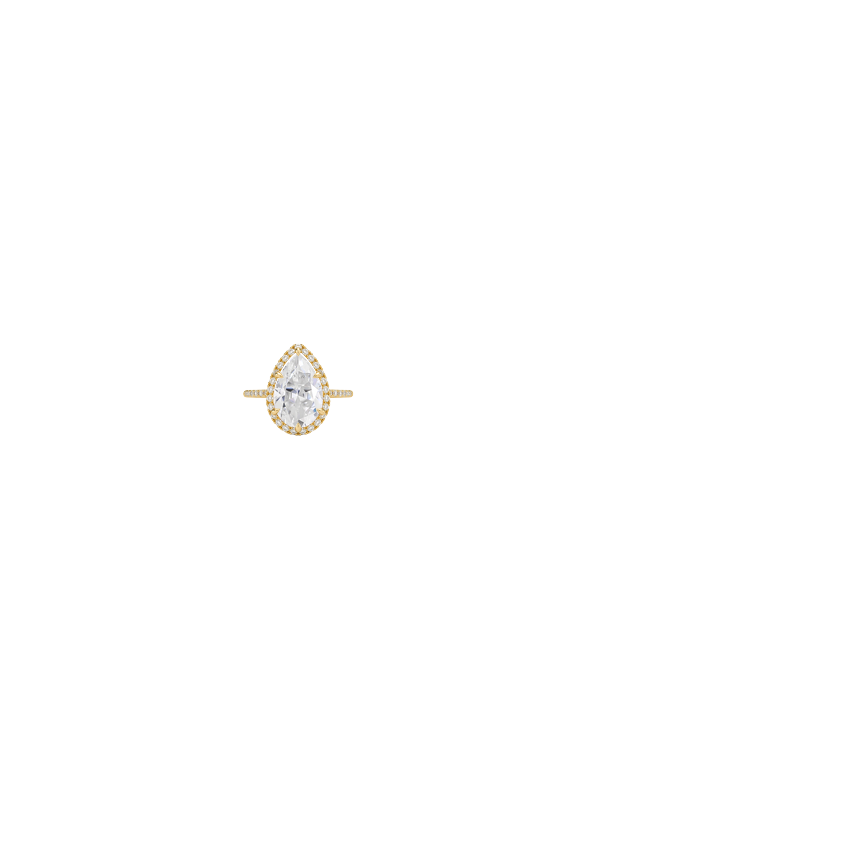 Ring on Hand