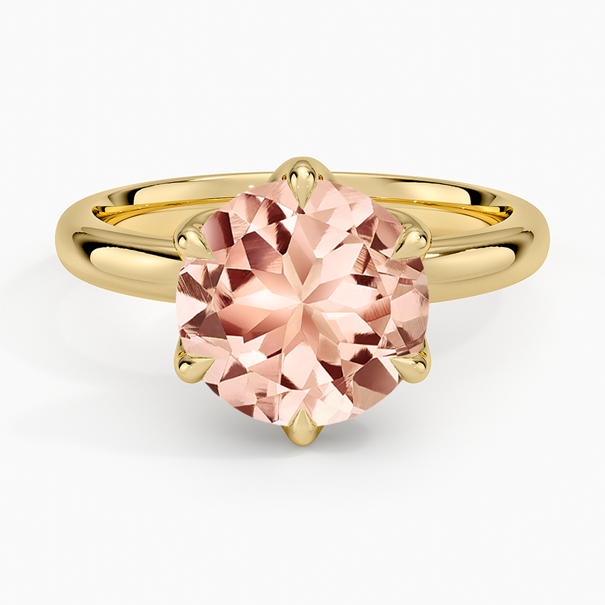 Morganite Esme 2.5mm Solitaire Ring in 14K Yellow Gold