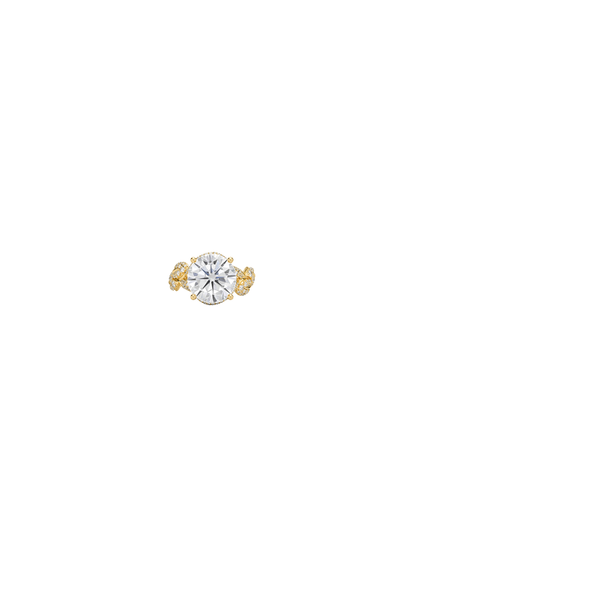 Ring on Hand