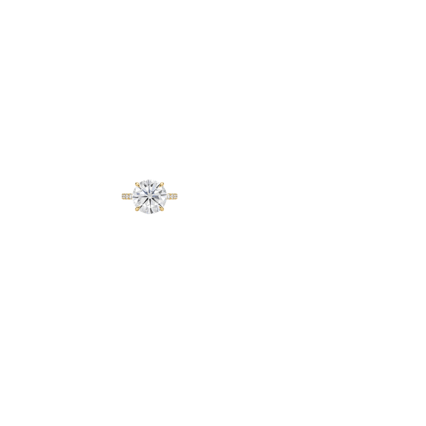 Ring on Hand