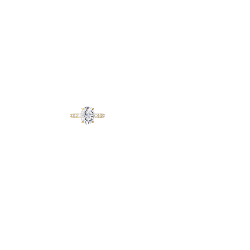 Ring on Hand