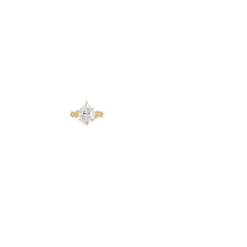 Ring on Hand