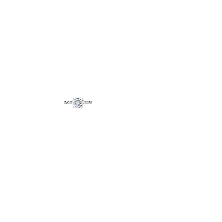 Ring on Hand