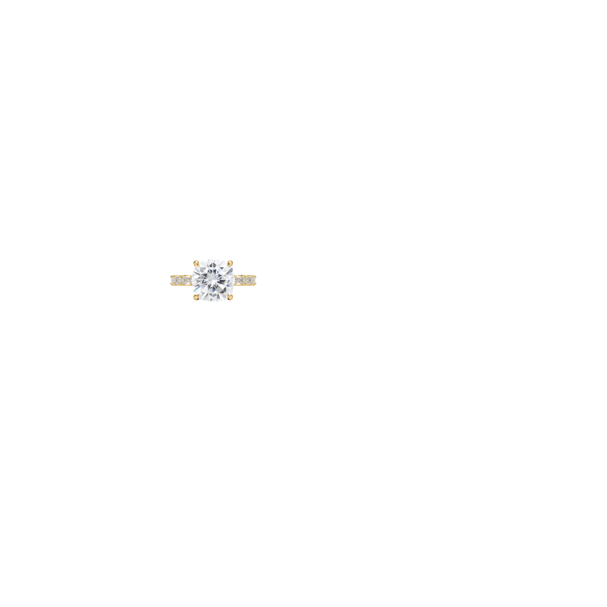 Ring on Hand