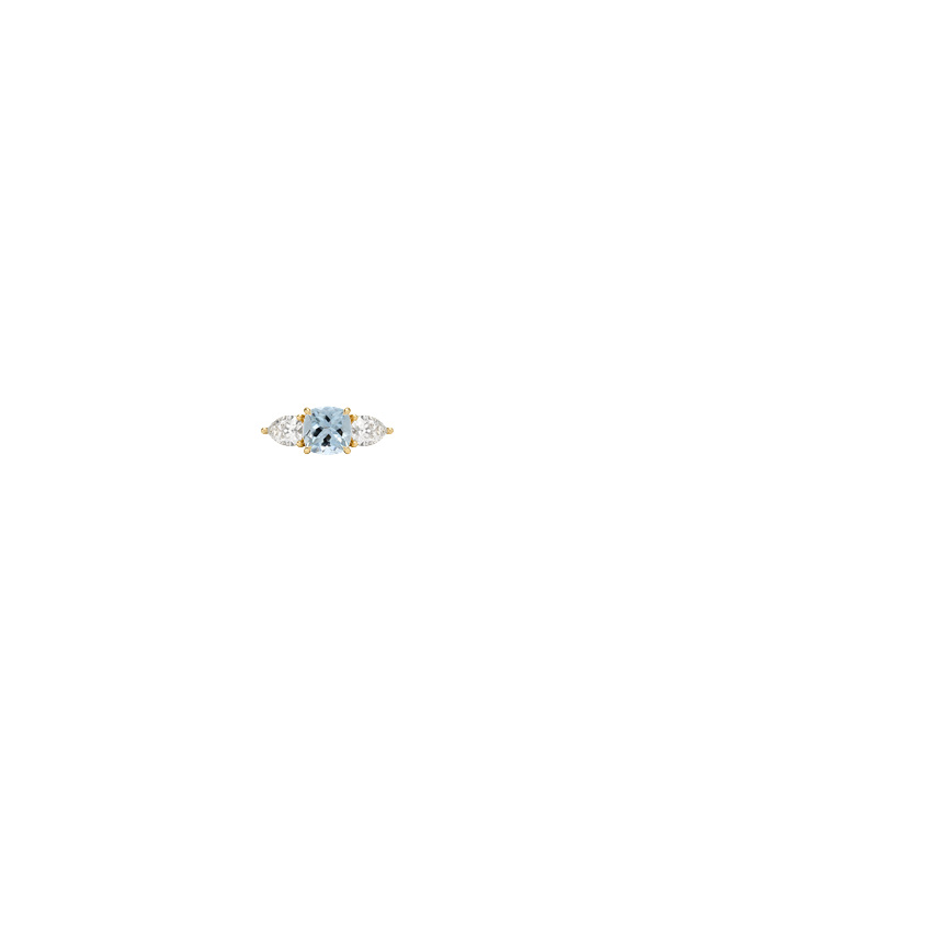 Ring on Hand