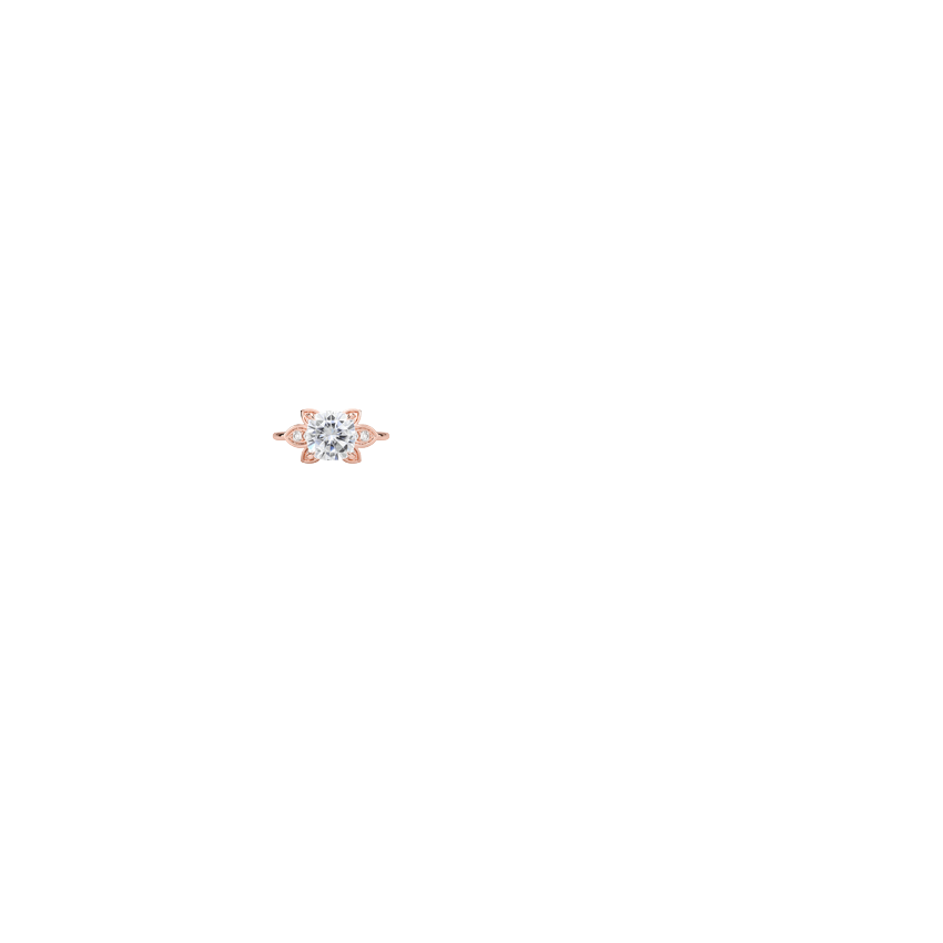 Ring on Hand