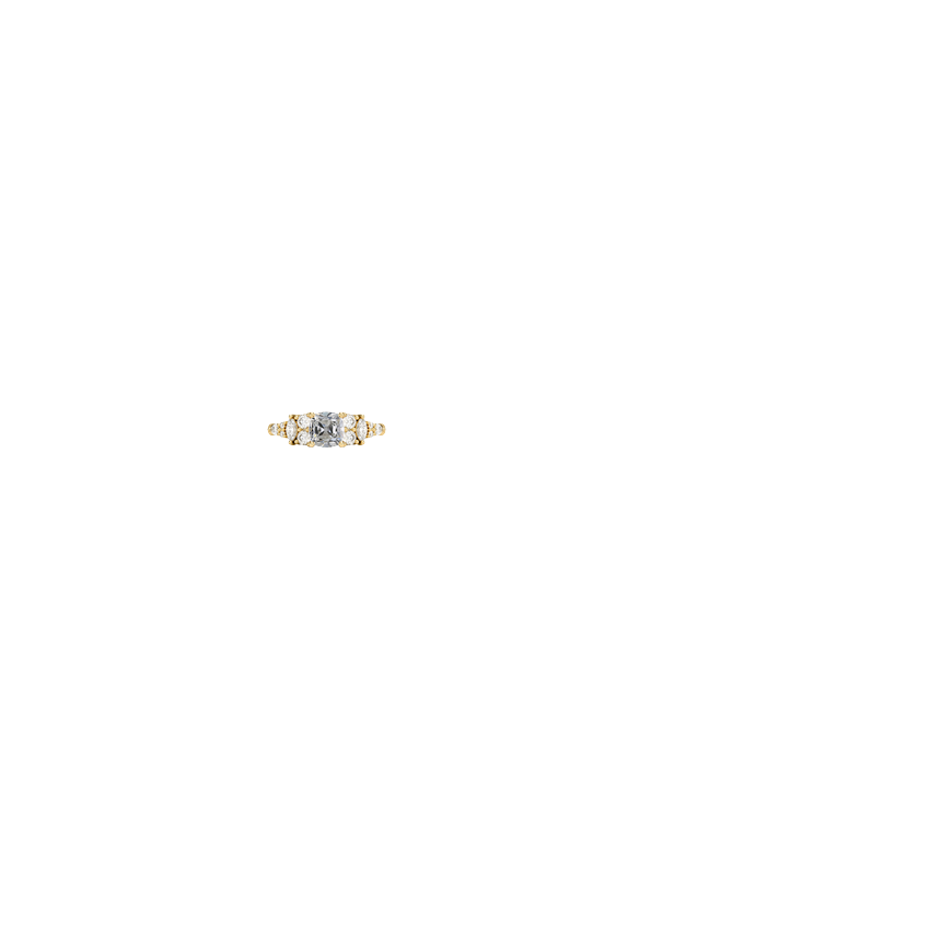 Ring on Hand