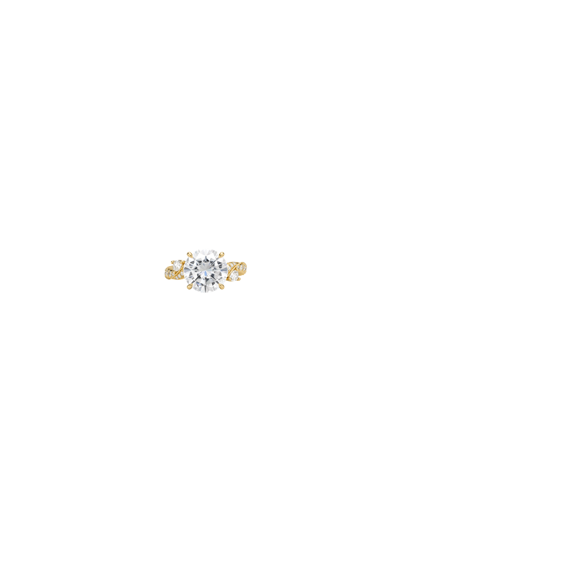 Ring on Hand