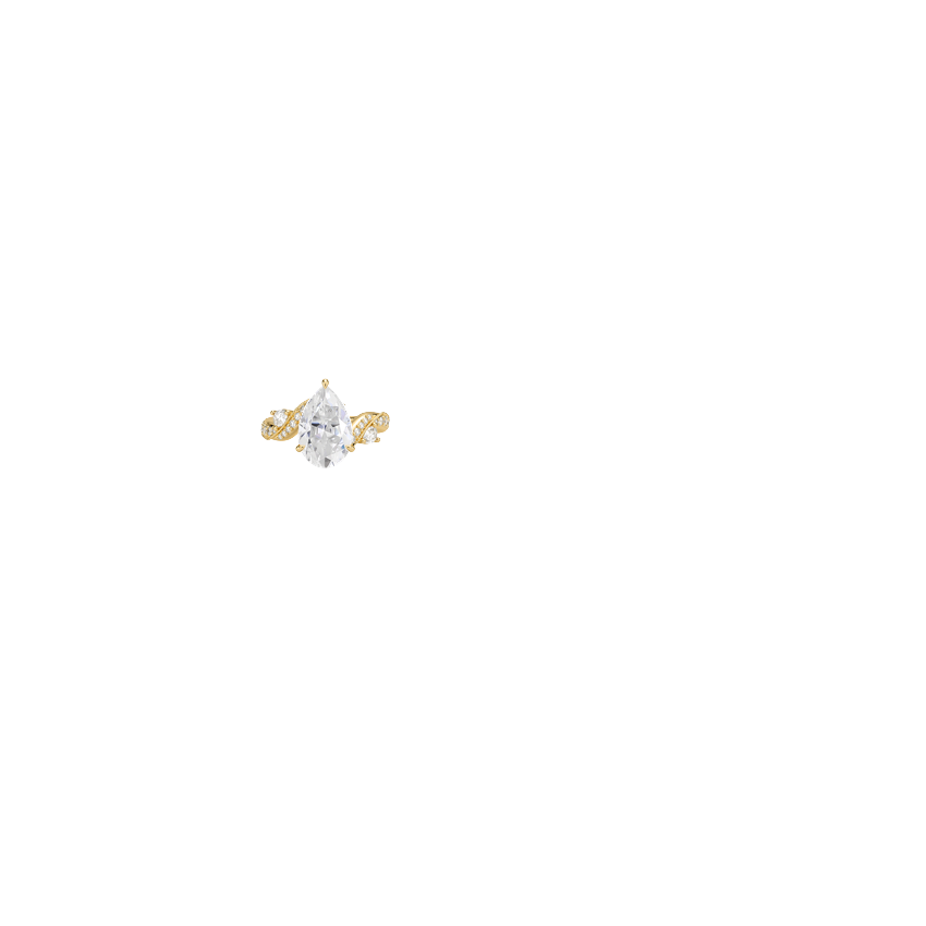 Ring on Hand