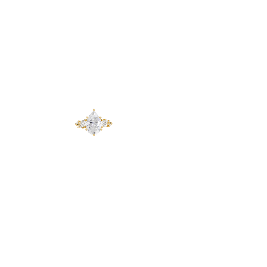 Ring on Hand