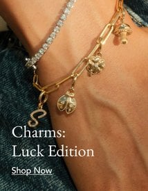 Person wearing a gold charm bracelet and diamond tennis bracelet.
