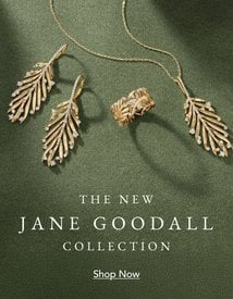 Gold leaf earrings, necklace, and ring from the Jane Goodall collection.