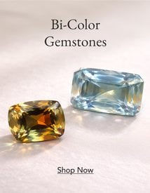 Two bi-color gemstones