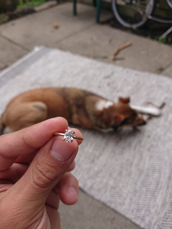 Oval diamond ring on hand