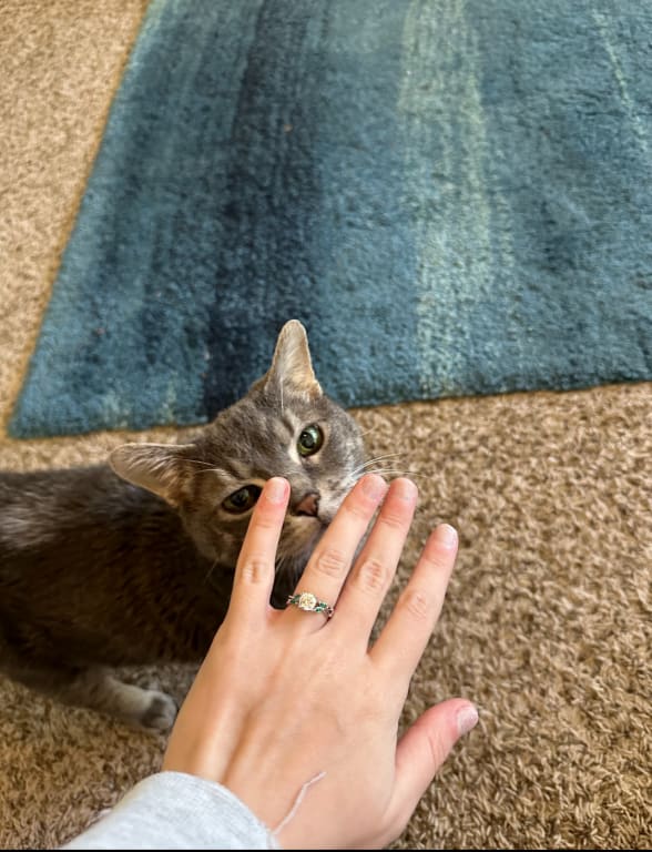 Oval diamond ring on hand