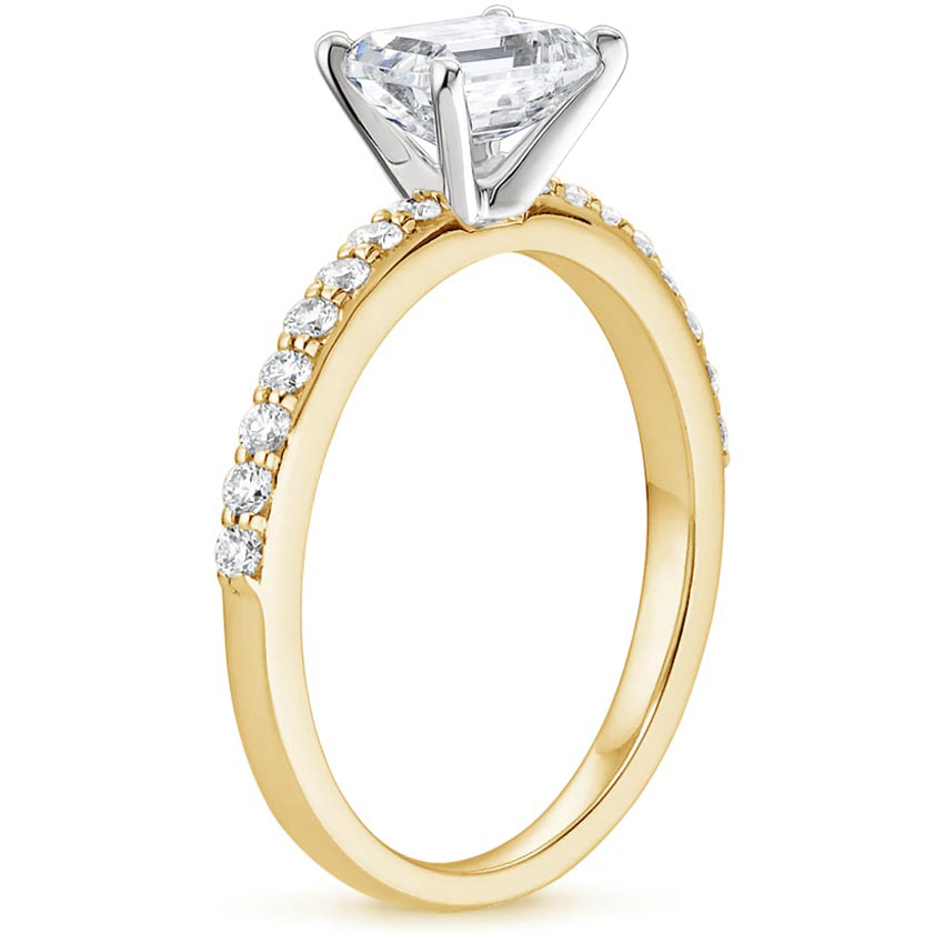 18K Yellow Gold Horizontal Petite Shared Prong Diamond Ring (1/4 ct. tw.), large side view