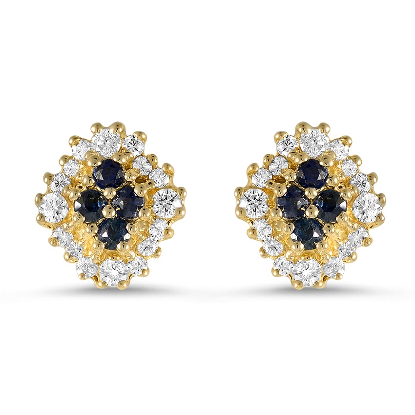 The Goldy Earrings