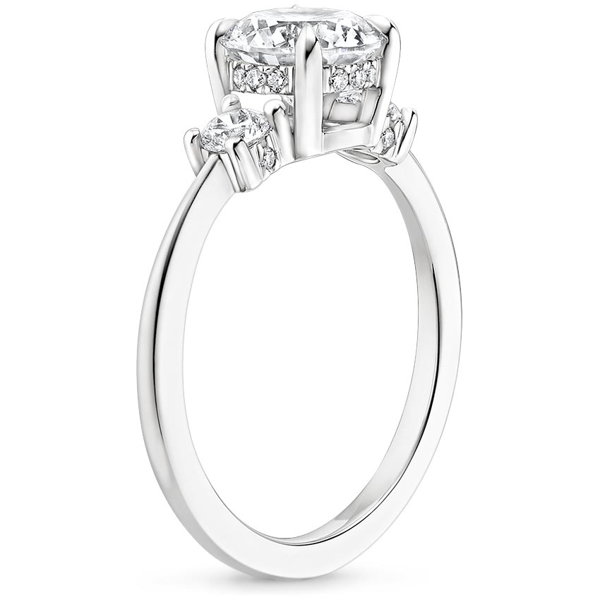 18K White Gold Adorned Selene Diamond Ring (1/4 ct. tw.), large side view
