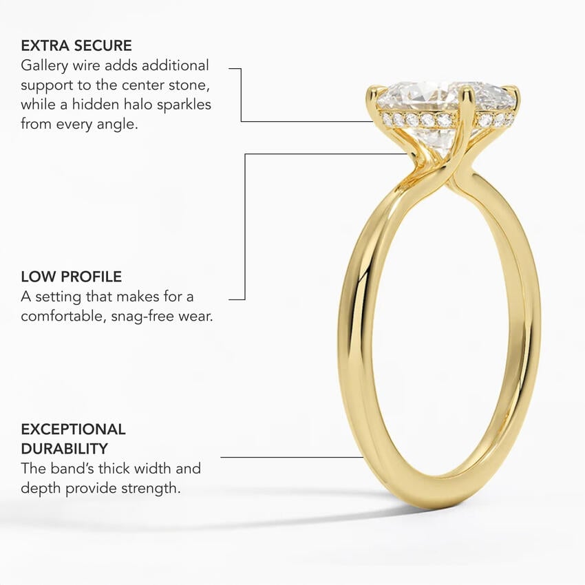 infographic img