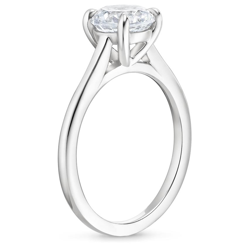 Platinum Provence Ring, large side view